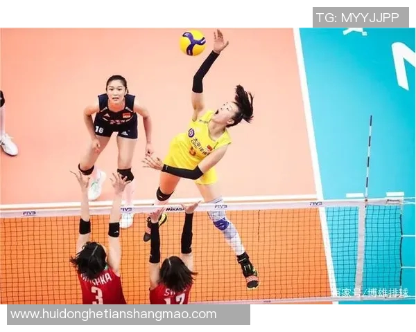 武汉排球队在杯赛中的实力展现与未来发展潜力分析