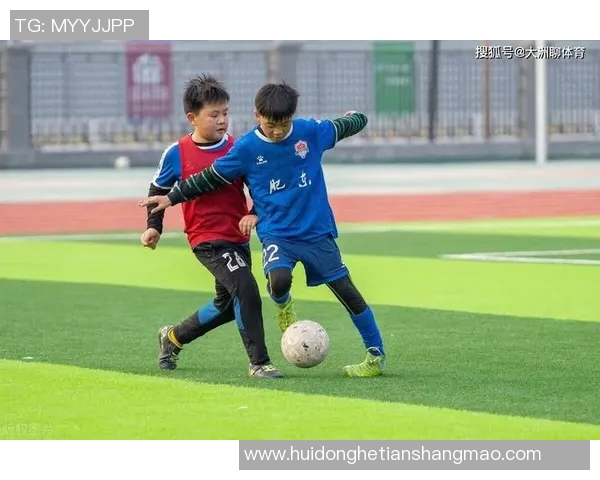 武汉足球队荣登足球意识排行榜第三名引发热议